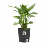 Pot de jardin Ø43xH43cm gris anthracite Elho® en plastique recyclé