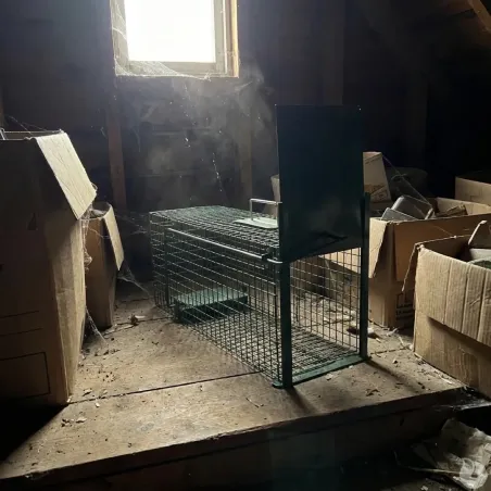 Lot de 5 pièges à rats et nuisibles 22x24x61 cm