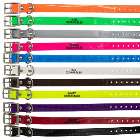 Collier vert fluo à graver dans la masse BIOGOLD pour petit chien et chiot 45 cm