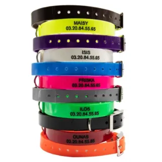 Collier jaune gravé dans la masse BIOGOLD pour petit chien