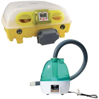 Pack couveuse Biomaster SUPER 49 + Nebula 49 œufs