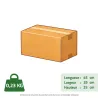 Piège à rat sécurisé 20x16x11,5 cm - Tunnel protecteur