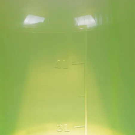 Abreuvoir sur pied vert 3L gradué pour volailles