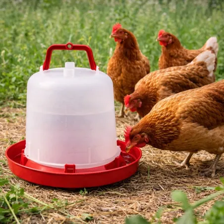 Abreuvoir premium 10L pour volailles - Robuste et pratique