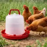 Abreuvoir premium 10L pour volailles - Robuste et pratique
