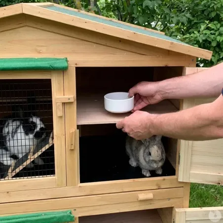 Appartement 2 zones pour rongeurs 118x61x130 cm