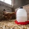 Abreuvoir 15L à niveau constant pour volailles