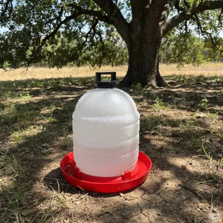 Abreuvoir 15L à niveau constant pour volailles