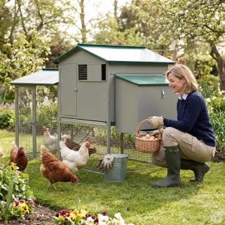 Poulailler galvanisé 3-4 poules 200x80x120 cm métal