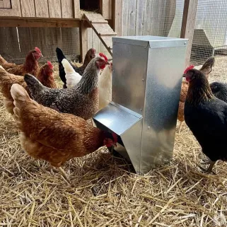Mangeoire galvanisée 7 kg pour volailles et gibier