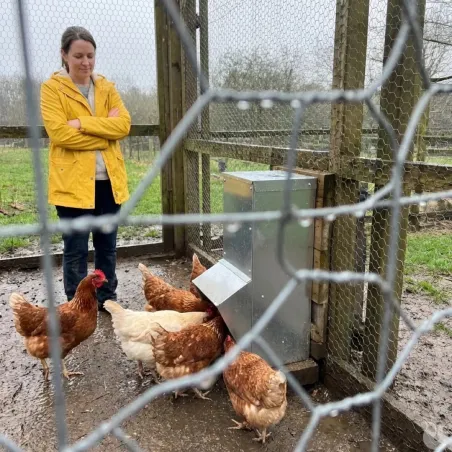 Mangeoire galvanisée 7 kg pour volailles et gibier
