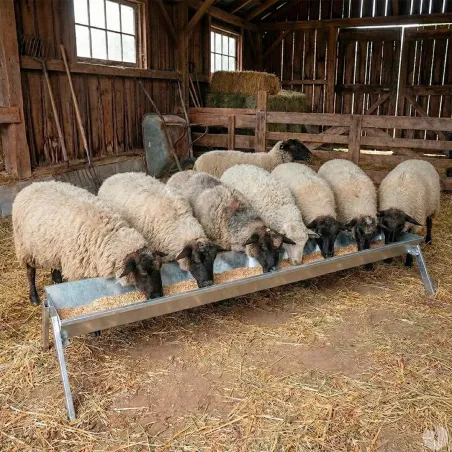 Mangeoire galvanisée pour ovins et caprins 203 cm