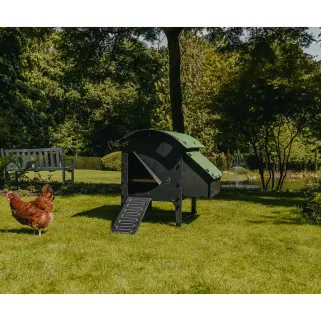 Poulailler surélevé plastique recyclé 5-9 poules