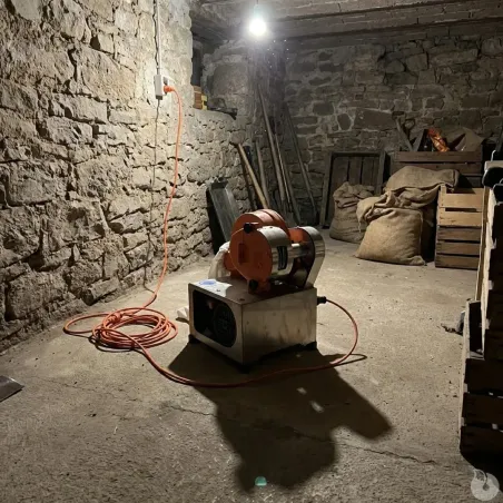 Plumeuse à sec SENESI® STRIP 220V - Gibier et volailles