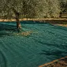 Filet récolte pro 6x6m - Bordure orange - 95 g/m²