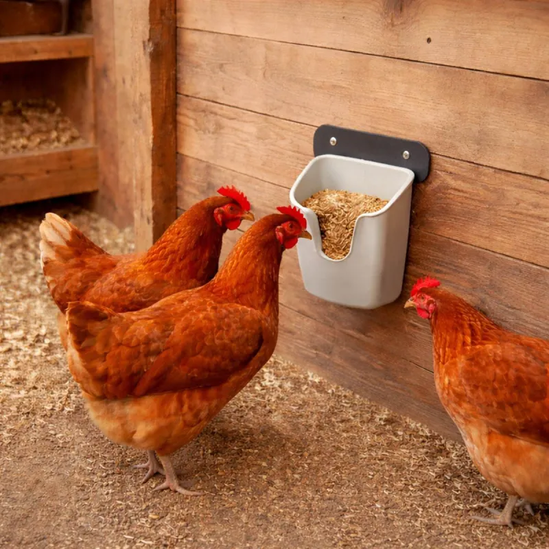 Mangeoire murale V Feedr 525 g anti-gaspi volailles