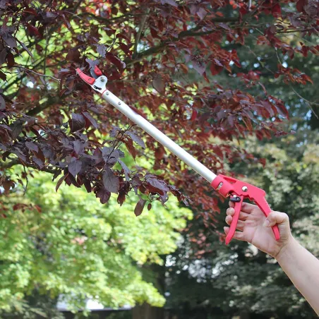Sécateur télescopique 2,30 m - Coupe nette et ergonomique
