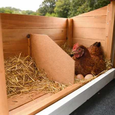 Poulailler bois 3 poules - Toit plastique - 112x77x92 cm