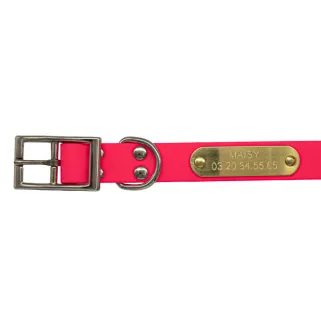 Collier gravable BioThane Beta 60x2,5 cm 6 couleurs ajustable