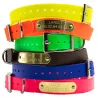 Collier gravable BioThane Beta 60x2,5 cm 6 couleurs ajustable