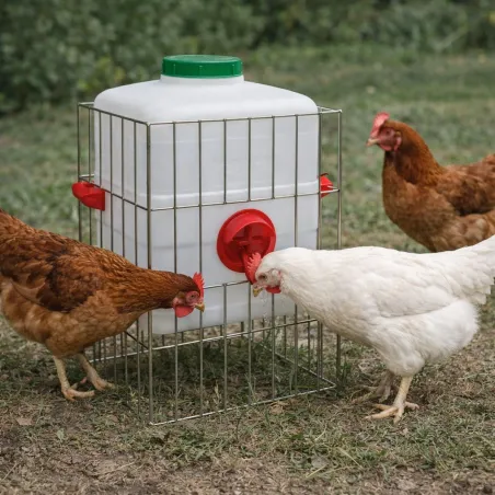 Mangeoire 15 kg à réservoir - Anti-gaspi et durable