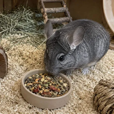Aliment Premium chinchilla - Sac 12,5 kg riche en fibres