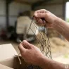 Filet maillé 60 mm - 12,5 m de large - Vente au mètre