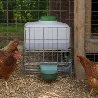 Abreuvoir auto Gaun 10L - Eau fraîche pour volailles et petits animaux