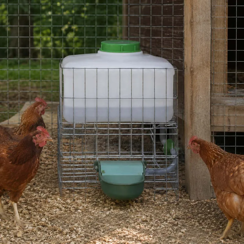 Abreuvoir auto Gaun 10L - Eau fraîche pour volailles et petits animaux