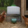 Abreuvoir auto Gaun 10L - Eau fraîche pour volailles et petits animaux