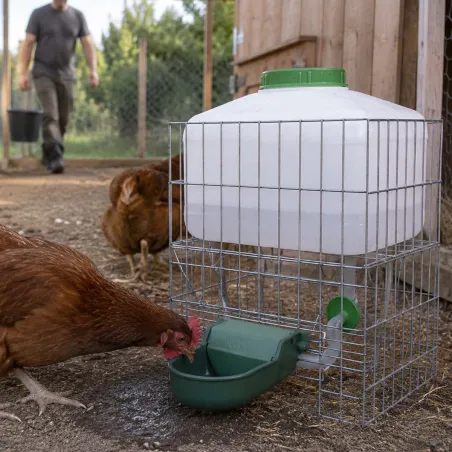 Abreuvoir auto Gaun 10L - Eau fraîche pour volailles et petits animaux