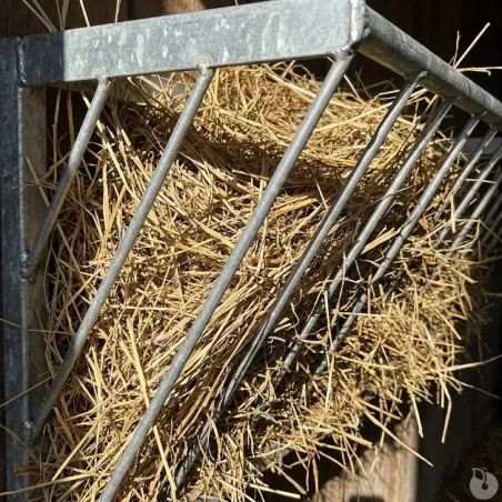 Râtelier mural galvanisé pour 5 veaux - Anti-gaspi