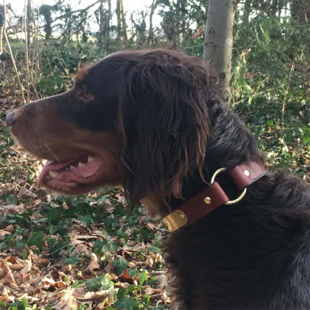 Collier cuir noisette gravé - 4 tailles disponibles