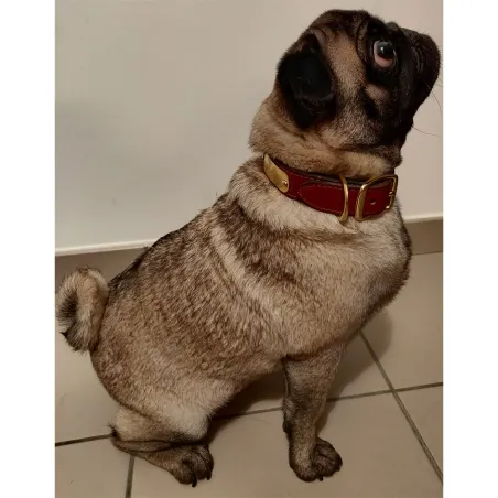 Collier cuir noisette gravé - 4 tailles disponibles