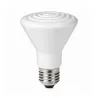 Ampoule céramique chauffante 250W pour élevage