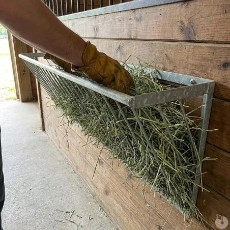 Râtelier mural galvanisé pour 5 veaux - Anti-gaspi