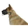 Muselière en cuir réglable 3 points pour chien