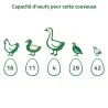Couveuse Novital Covatutto 16L Pro automatique polyvalente