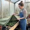 Voile d'hivernage non-tissé 30g/m² pour plantes