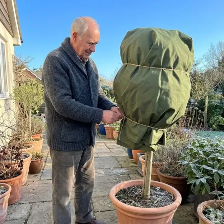 Voile d'hivernage non-tissé 30g/m² pour plantes