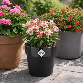 Pot Elho Ø22cm noir recyclé avec réservoir d'eau intégré