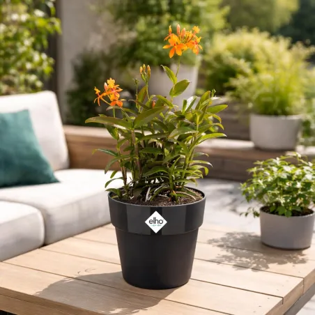 Pot Elho Ø22cm noir recyclé avec réservoir d'eau intégré