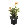 Pot Elho Ø22cm noir recyclé avec réservoir d'eau intégré