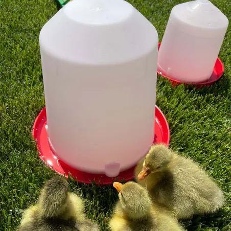 Abreuvoir siphoïde 10 L en plastique pour volailles