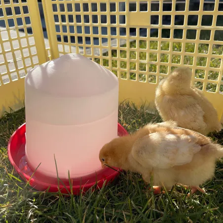 Abreuvoir siphoïde 10 L en plastique pour volailles