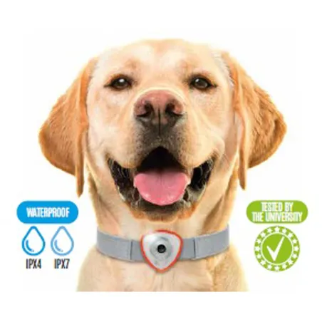 Répulsif électronique anti-puces et tiques chien/chat orange