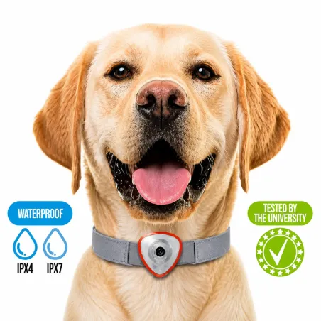 Répulsif électronique anti-puces et tiques chien/chat orange