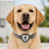 Répulsif anti-tiques/puces électronique pour chiens et chats
