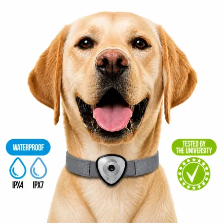 Répulsif anti-tiques/puces électronique pour chiens et chats