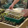 Kit germination Progarden 27,5x20x7 cm - Semis faciles